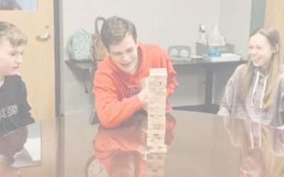 The Peer Social Model Group